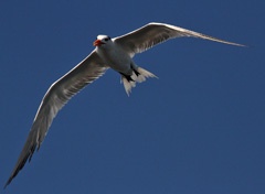 IMG_7825a